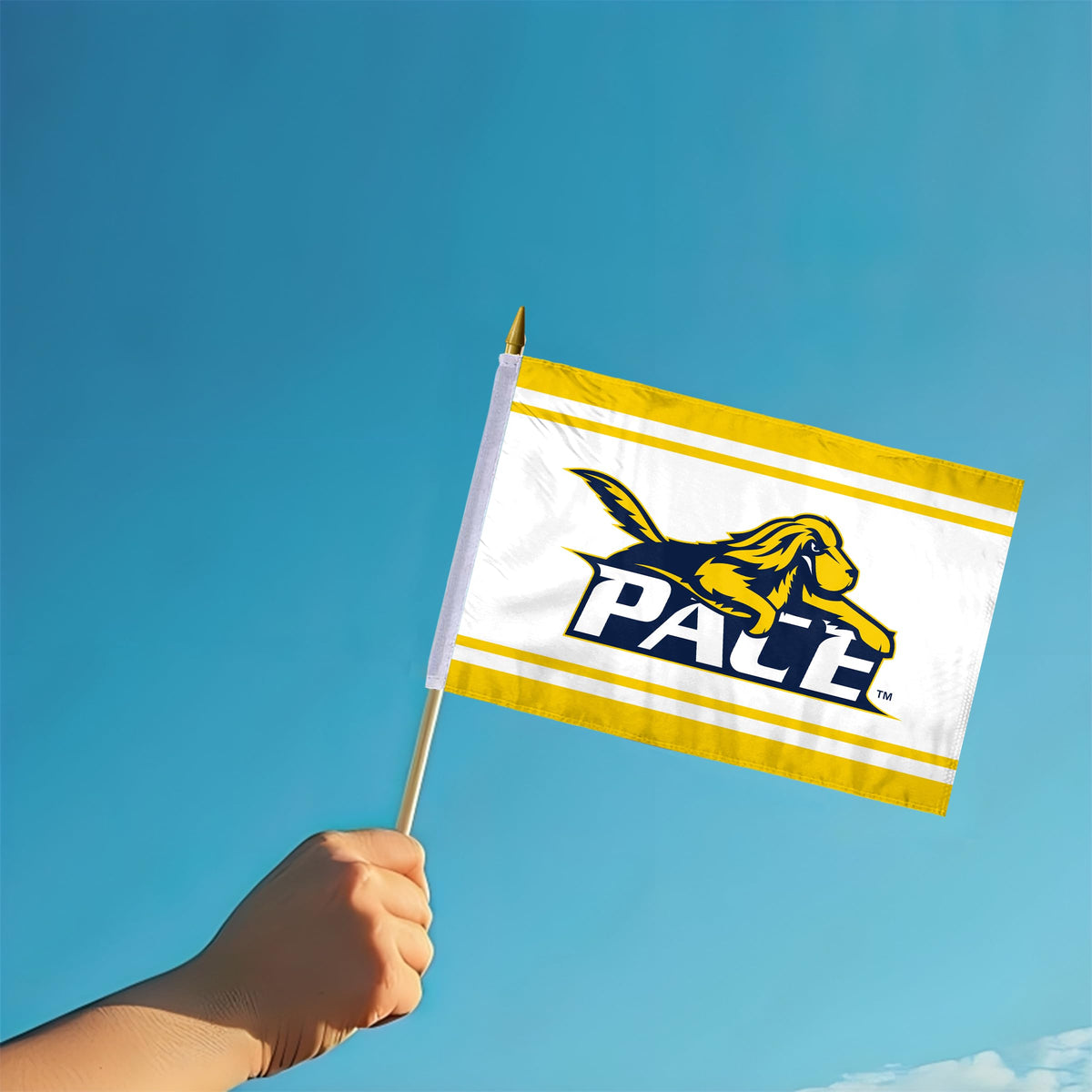 Pace University Stick Flag 12 x 18 inch