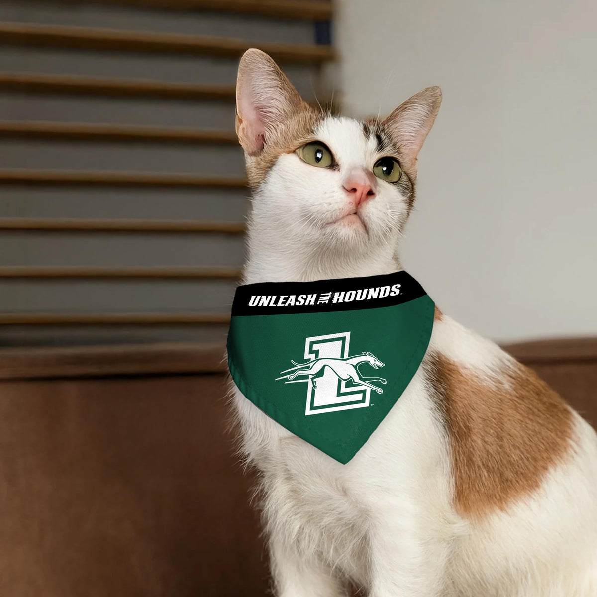 Loyola Maryland University Pet Bandana 14.75 x 9.5 inch