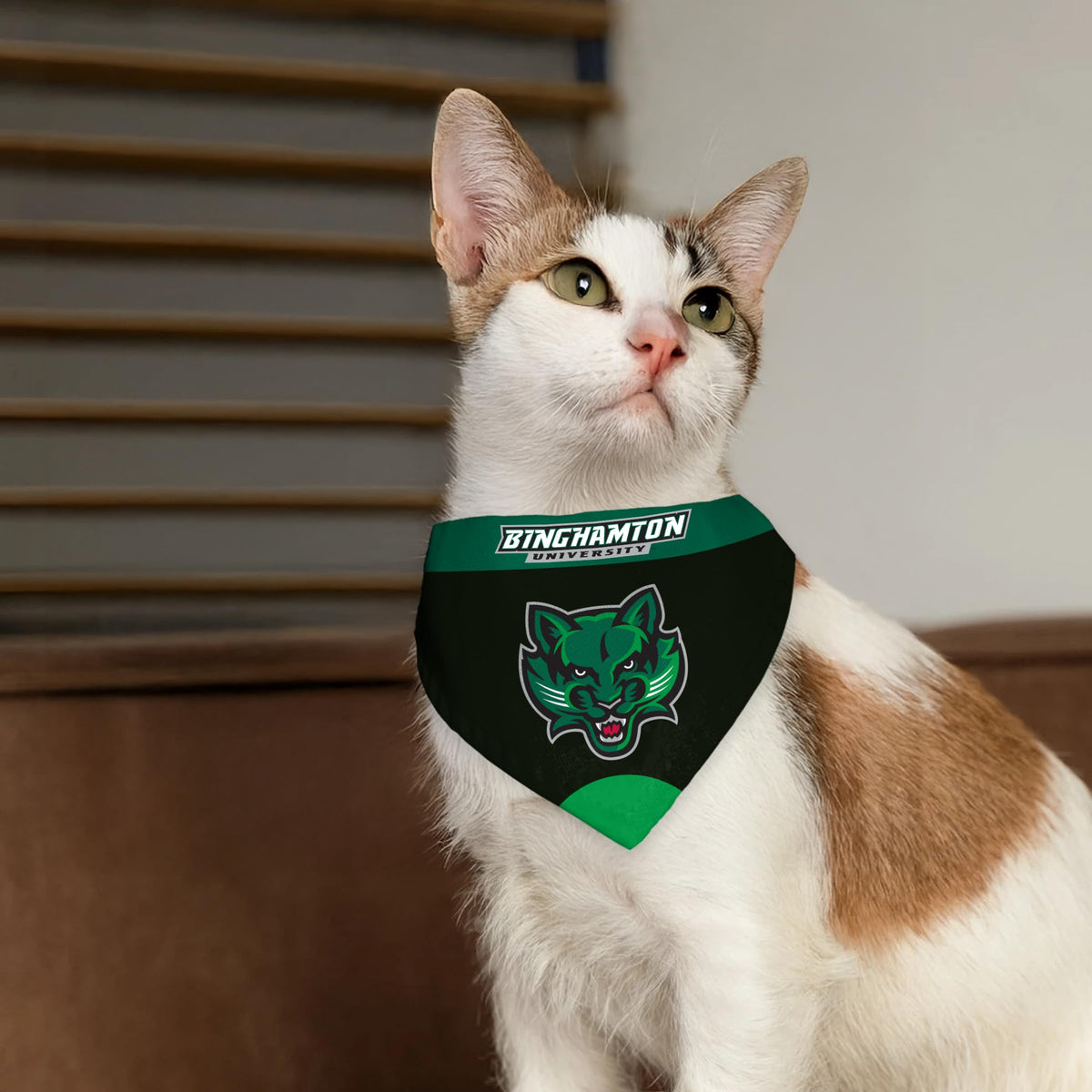 AGAS Binghamton University Pet Bandana 9.75 x 6.5 inch – Single Sided Printed Polyester BU Bearcats Mascot Design – Official NCAA Binghamton Bearcats Product – Pet Bandana