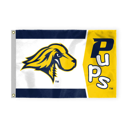 Pace University Flag 3 ft x 5 ft
