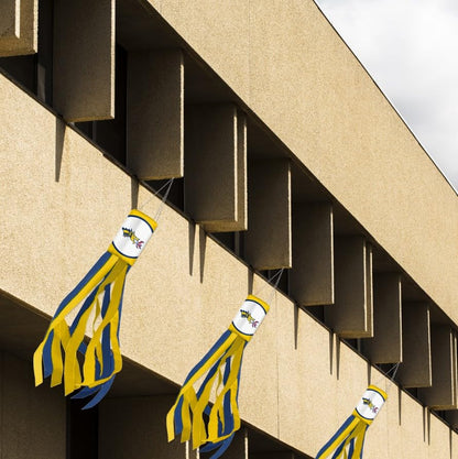 AGAS Drexel DU Dragons Windsock, Polyester, Team-Coloured Stripes, Drexel DU University Merch