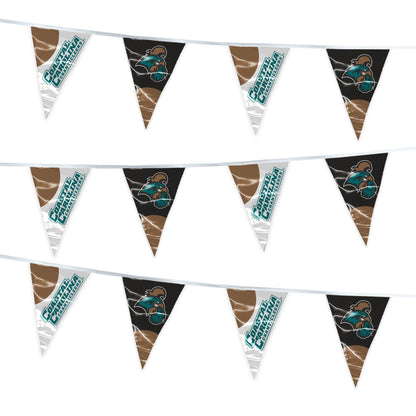 AGAS Coastal Carolina CCU University Pennant String Triangle flag football for Birthday Parties Chanticleers Theme Party - 15FT