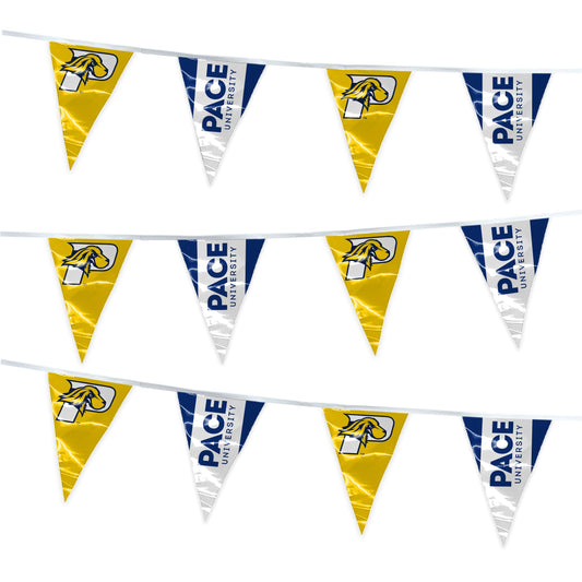 Pace University Pennant String 4 x 6 inch