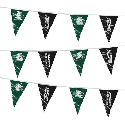 Loyola Maryland University Pennant String 4 x 6 inch