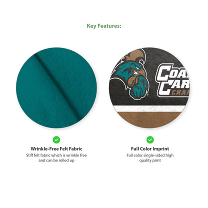AGAS Coastal Carolina CCU University Mini Pennant - 9" x 24" Sleeve For Stick - Officially Licensed Small Chanticleers Home Décor Wall Pennant