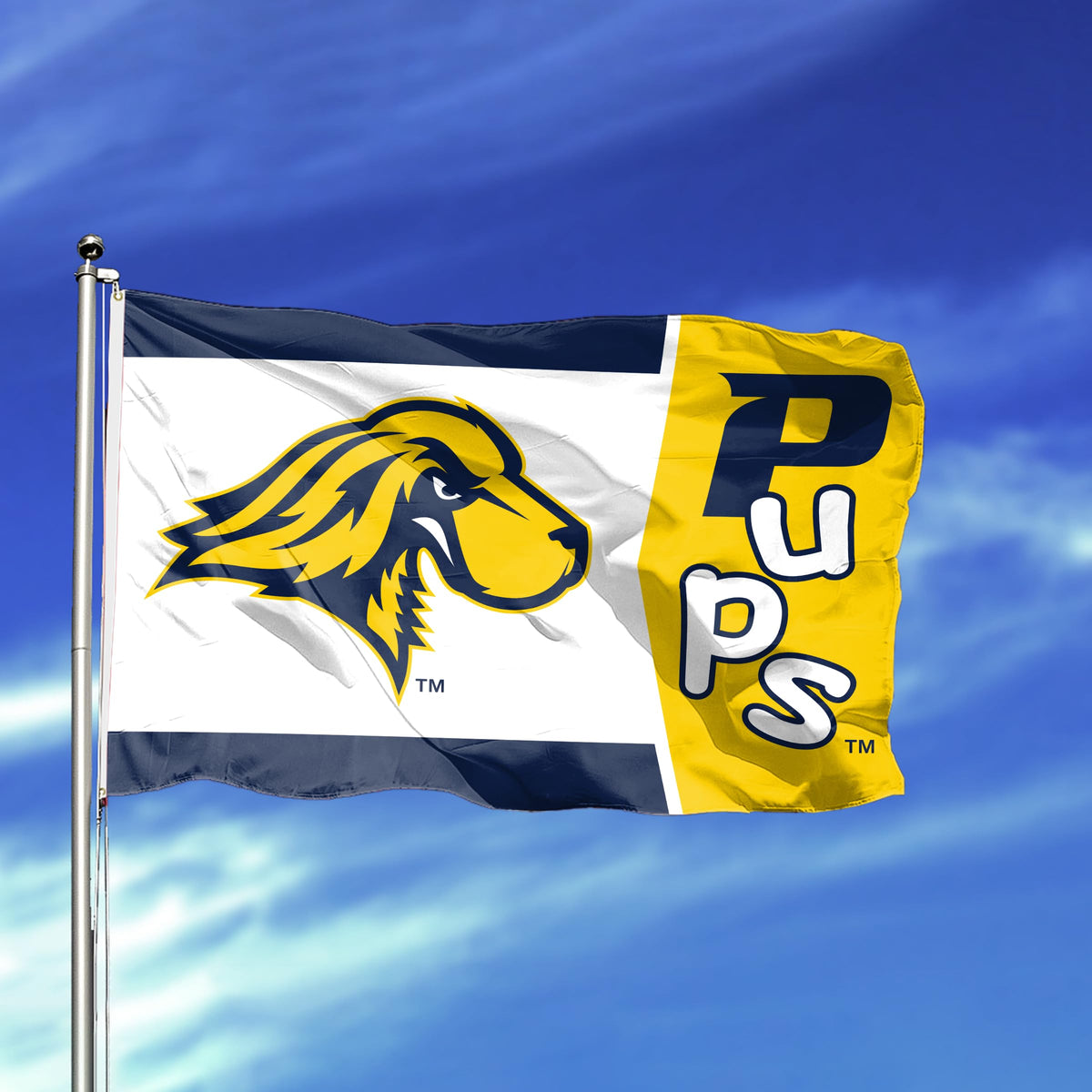 Pace University Flag 3 ft x 5 ft