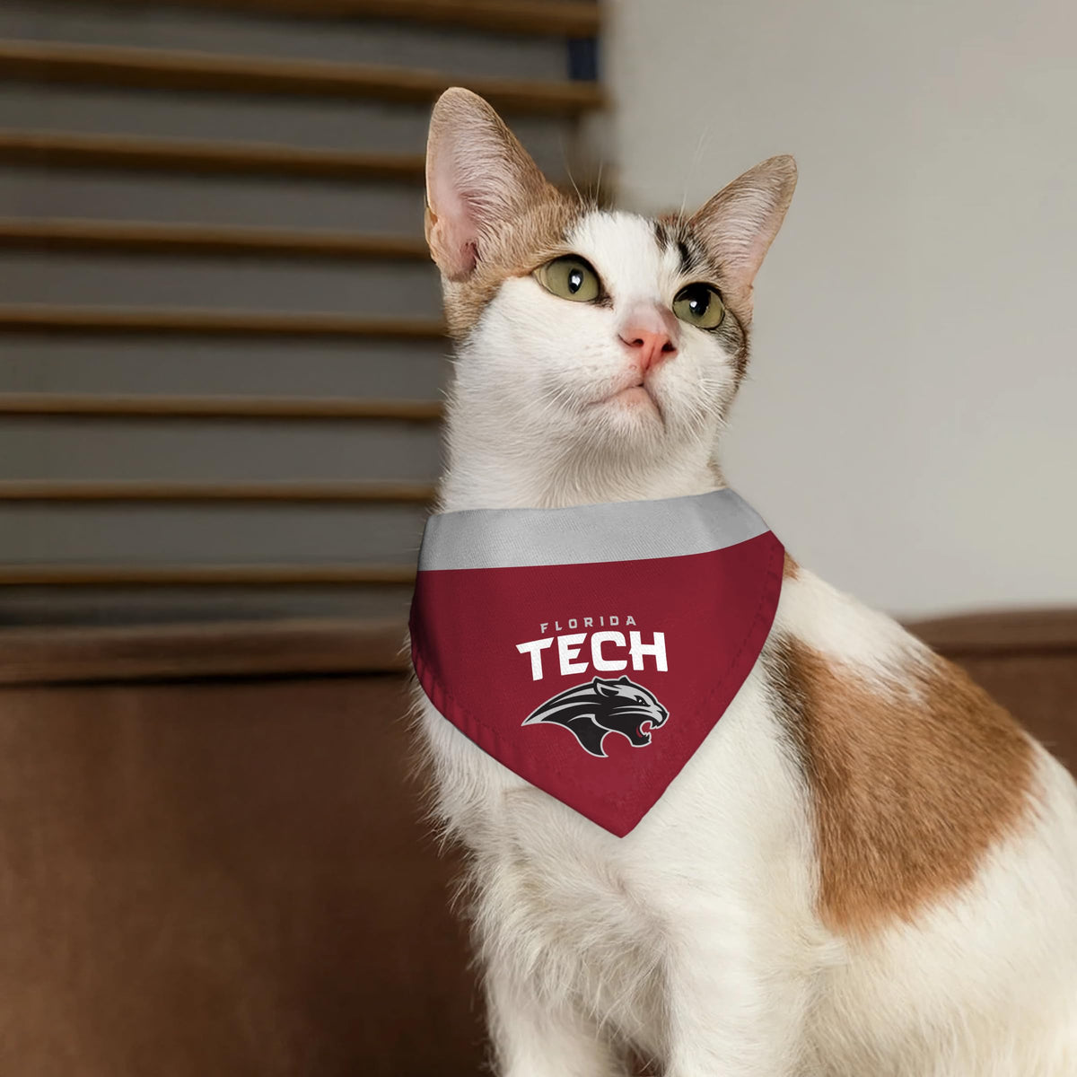 Florida Institute of Technology Pet Bandana 14.75 x 9.5 inch