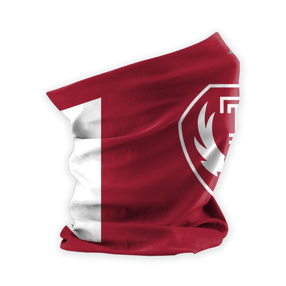 AGAS Temple University - Misc Flags