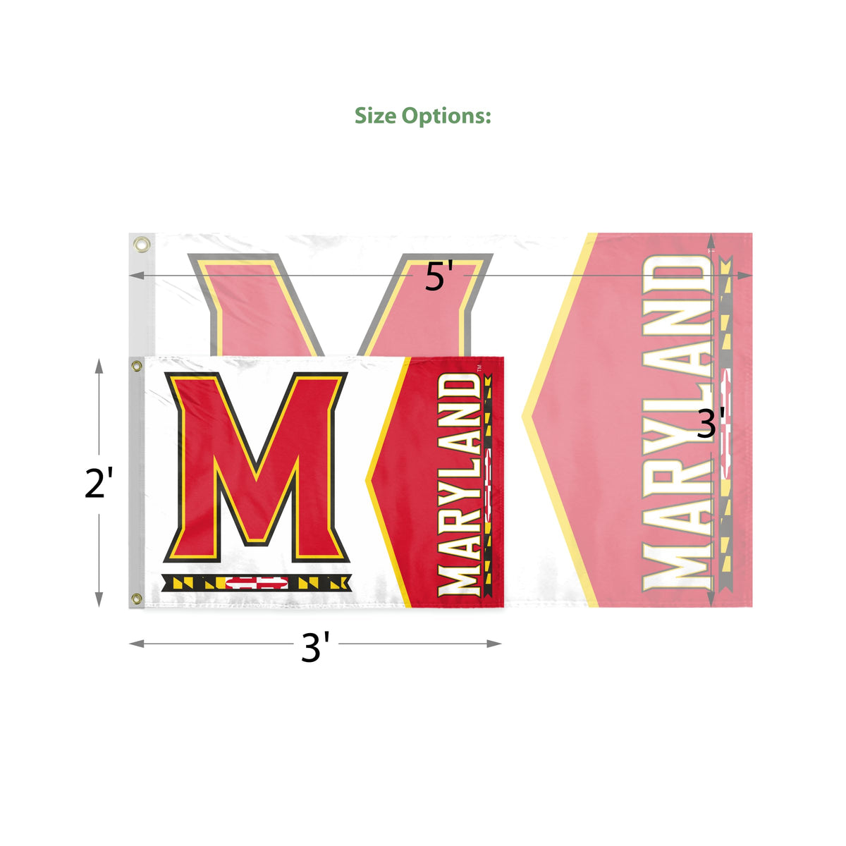 AGAS - Maryland University