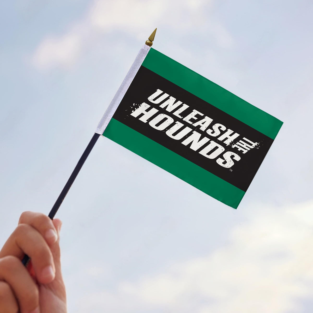 Loyola Maryland University Stick Flag 4 x 6 inch