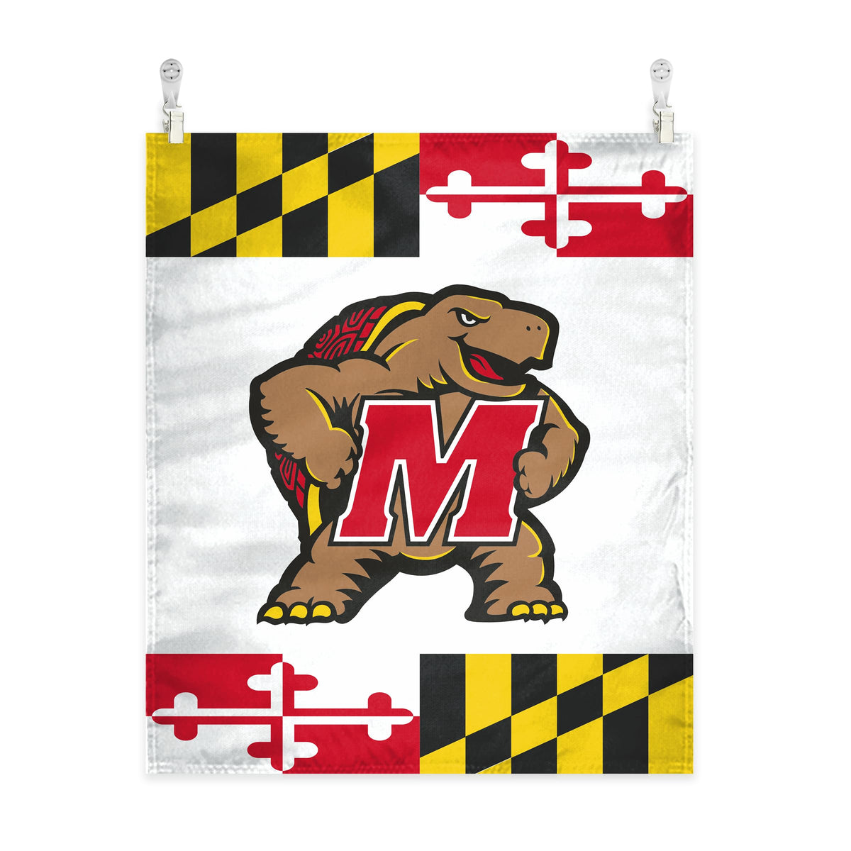 AGAS - Maryland University