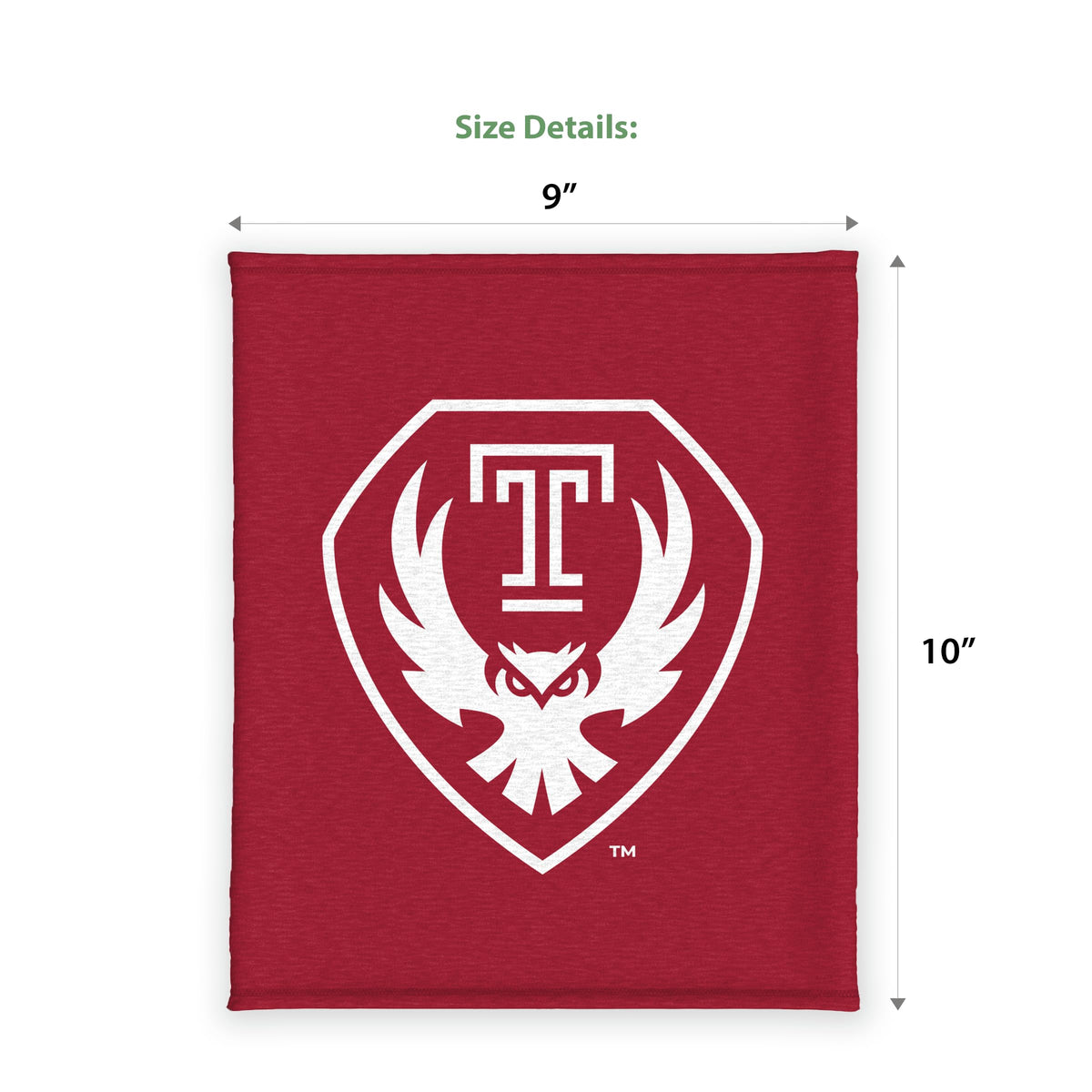 AGAS Temple University - Misc Flags