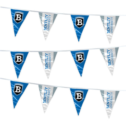 Bentley University Pennant string 4 x 6 inch