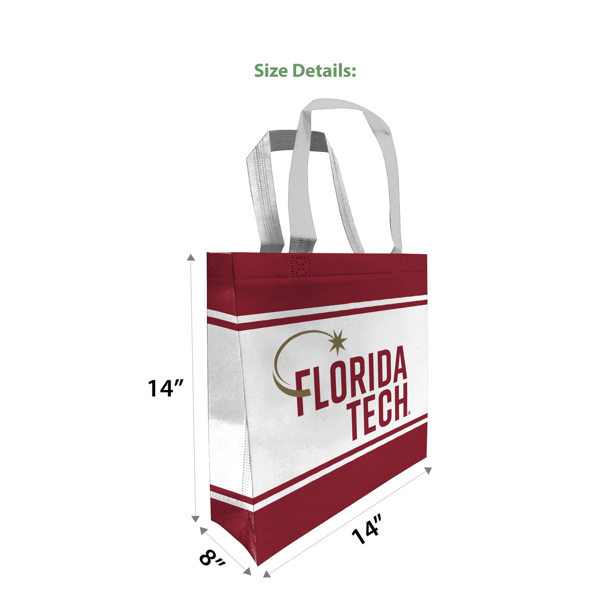 Florida Institute of Technology Tote Bag 14 x 14 x 8 inch