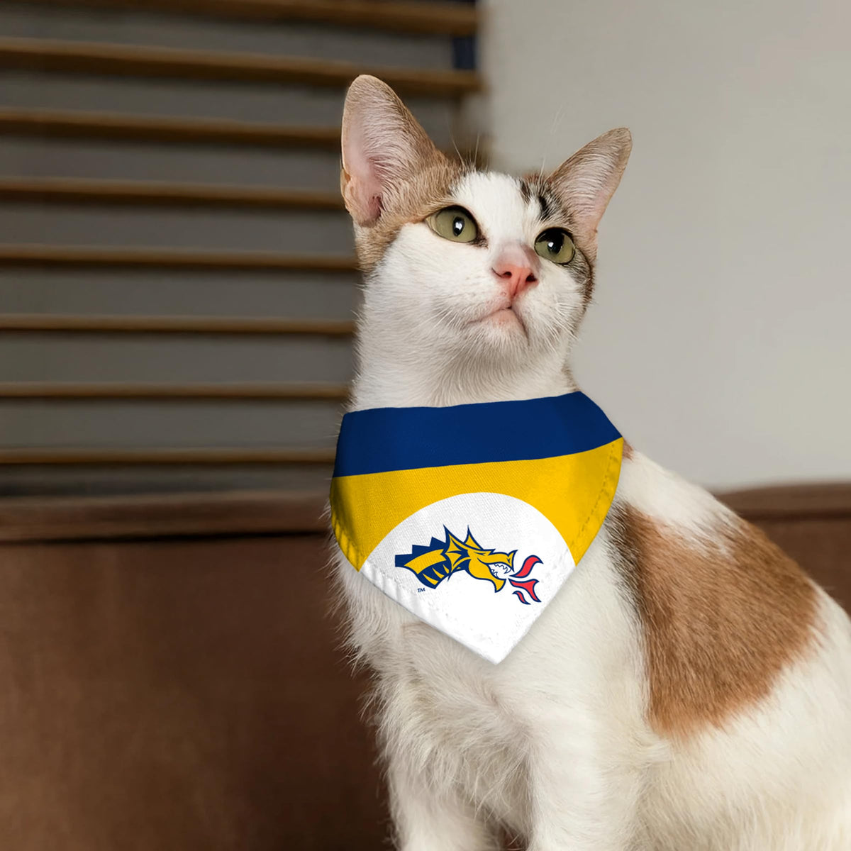 AGAS Drexel University Pet Bandana 14.75 x 9.5 inch – Single Sided Printed Polyester Dragons Mascot Logo – Officially Licensed Drexel Dragons Pet Bandana