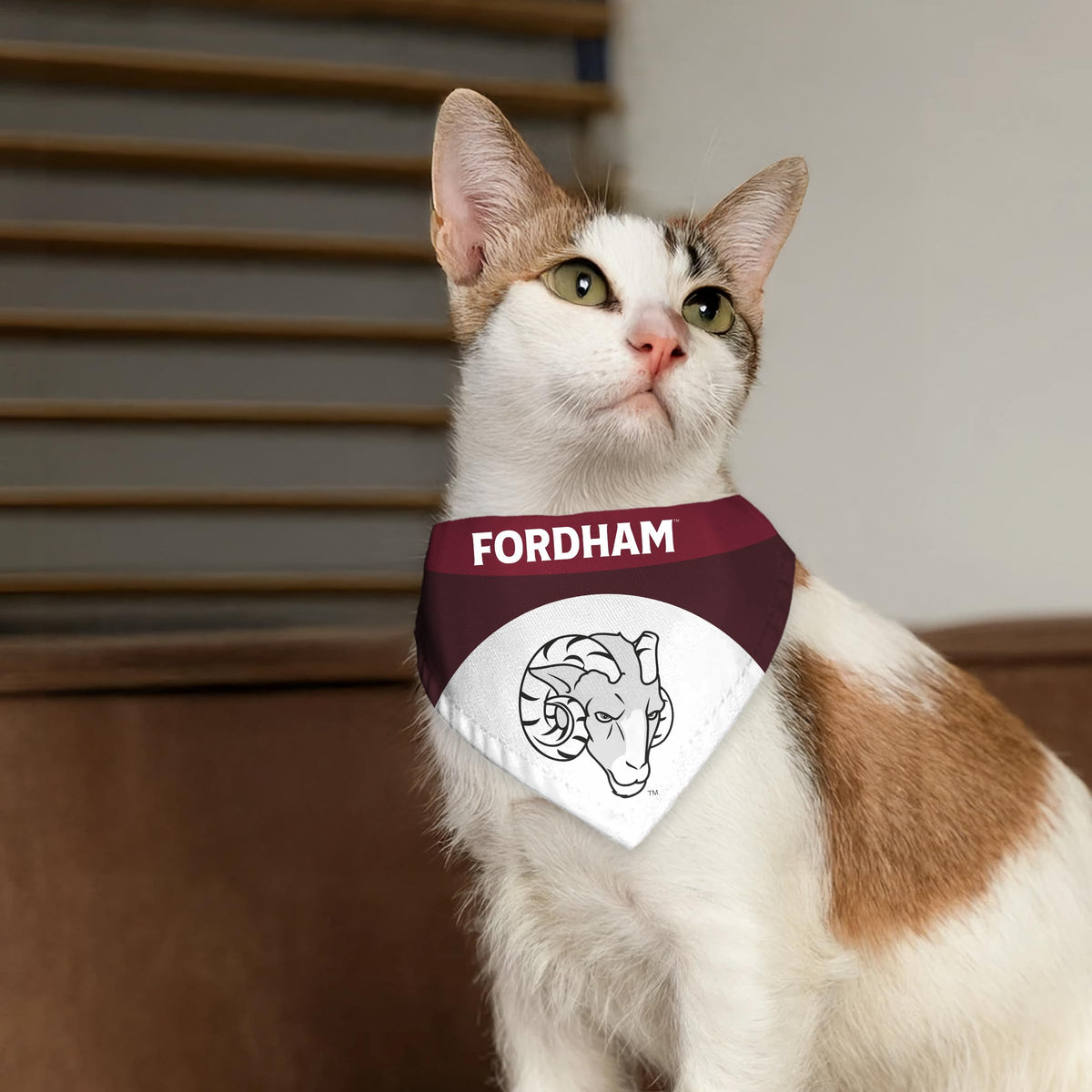 AGAS Fordham University Pet Bandana 14.75 x 9.5 inch – Single Sided Printed Polyester Fordham Rams Bandana with Ram Head Logo – Official NCAA Product – Fordham University Pet Bandana