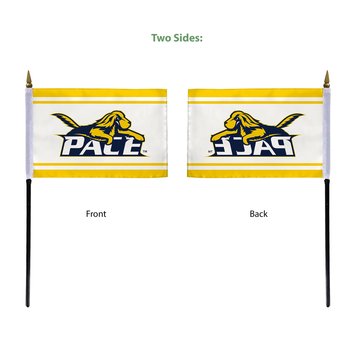 Pace University Stick Flag 4 x 6 inch