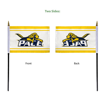 Pace University Stick Flag 4 x 6 inch