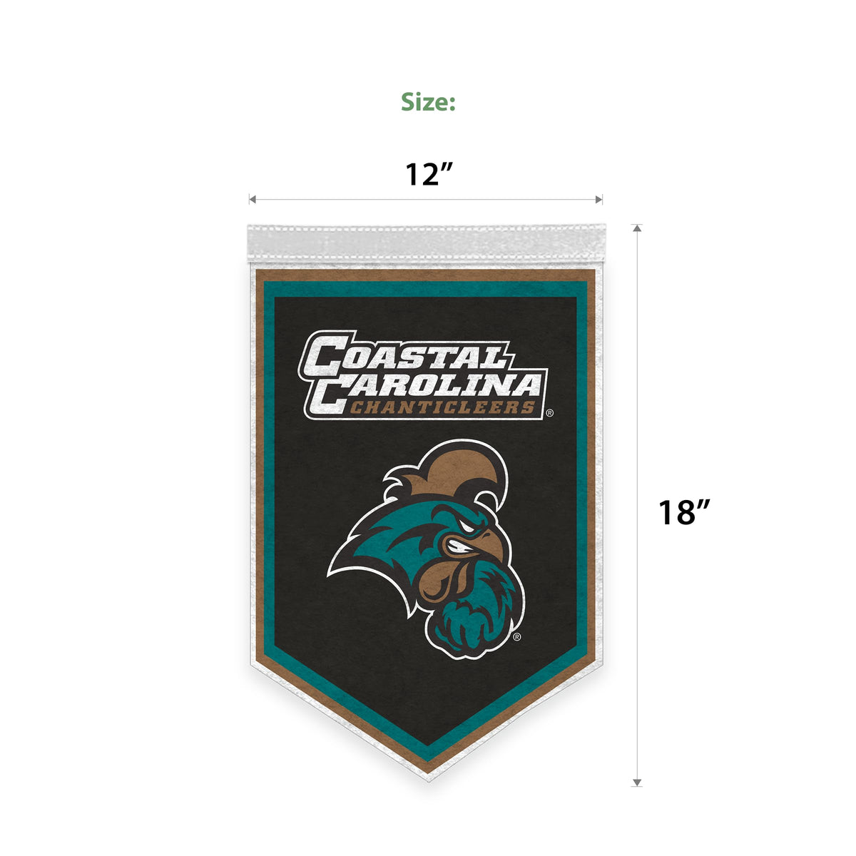 AGAS Mini Coastal Carolina CCU University Chanticleers Graduation Banner 12 x 18" - with Pole Sleeve