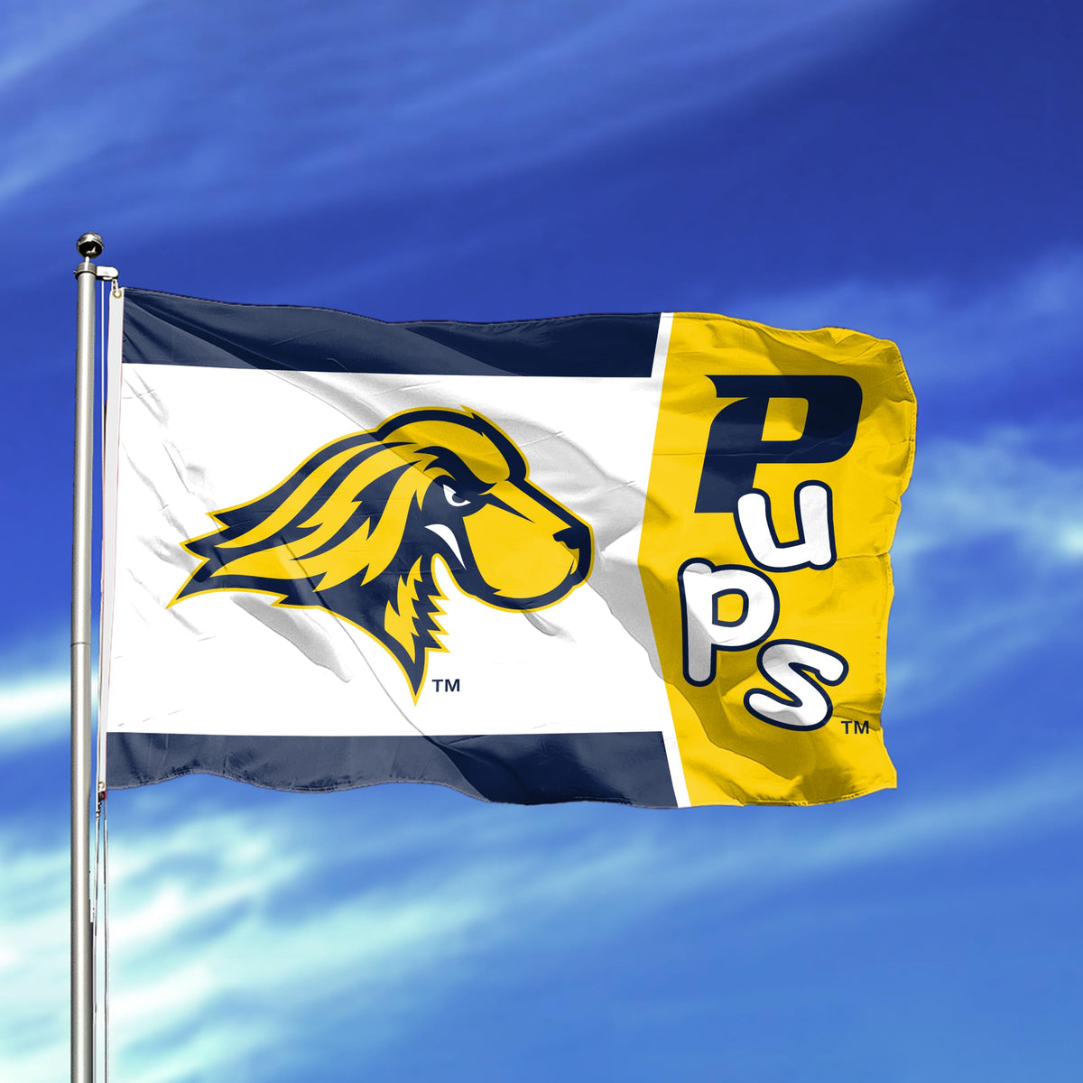 Pace University Flag 4 x 6 ft