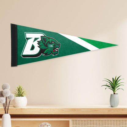 AGAS Binghamton University Pennants and Banners