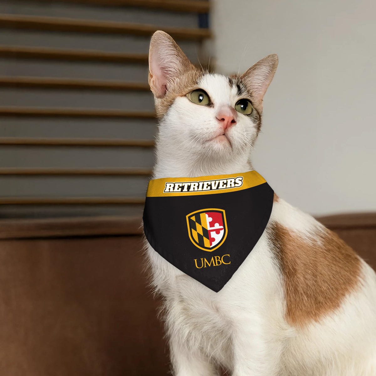 University of Maryland Baltimore County Pet Bandana 9.75 x 6.5 inch