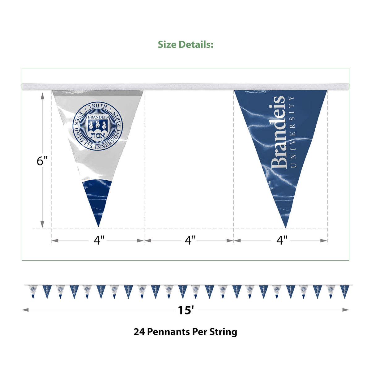 Brandeis University Pennant string 4 x 6 inch