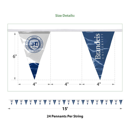 Brandeis University Pennant string 4 x 6 inch