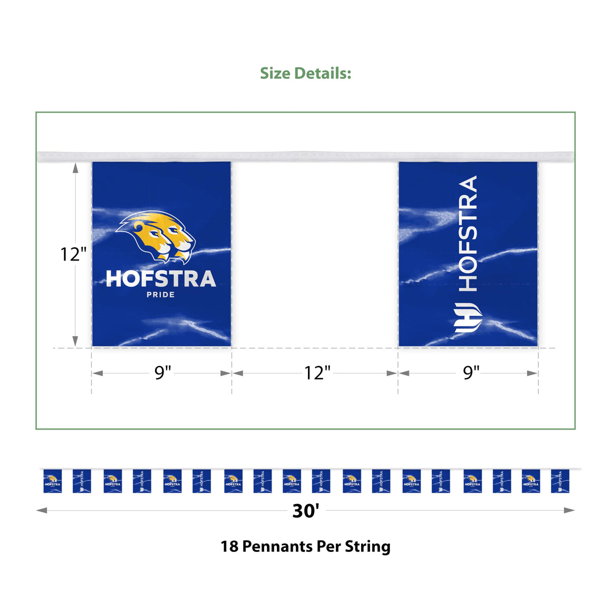 Hofstra University Rectangle Pennant String 9 x 12 inch