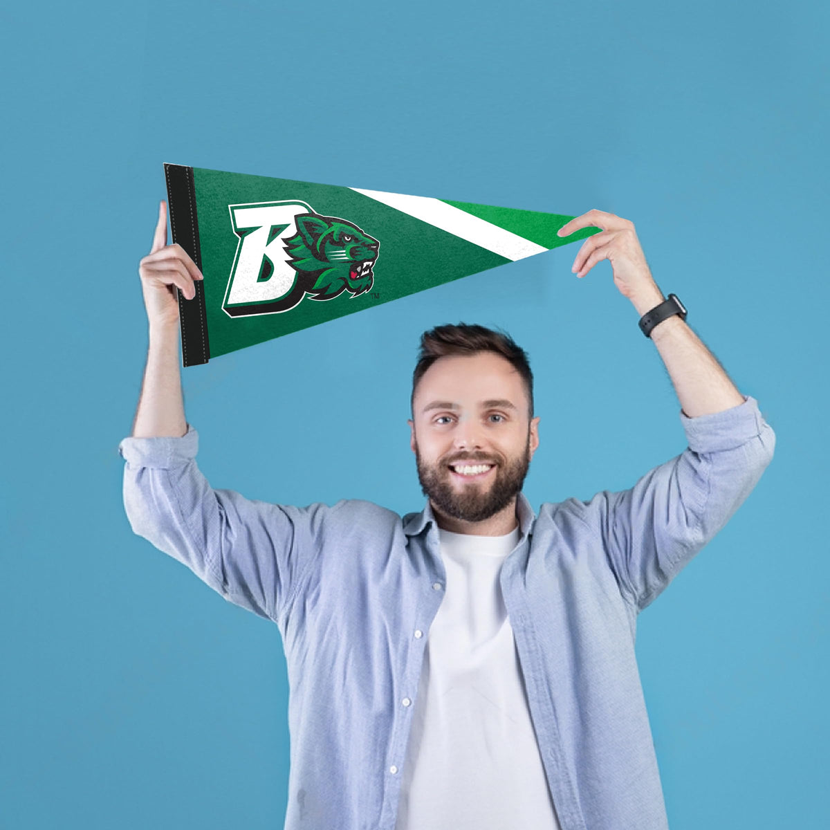 AGAS Binghamton University Pennants and Banners