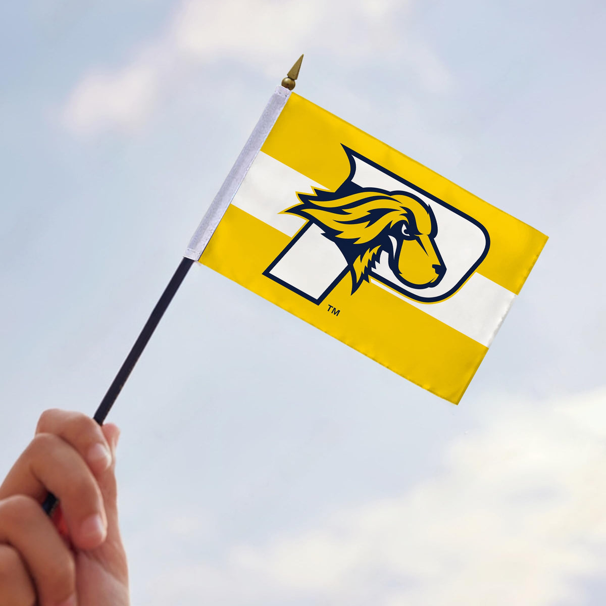 Pace University Stick Flag 4 x 6 inch