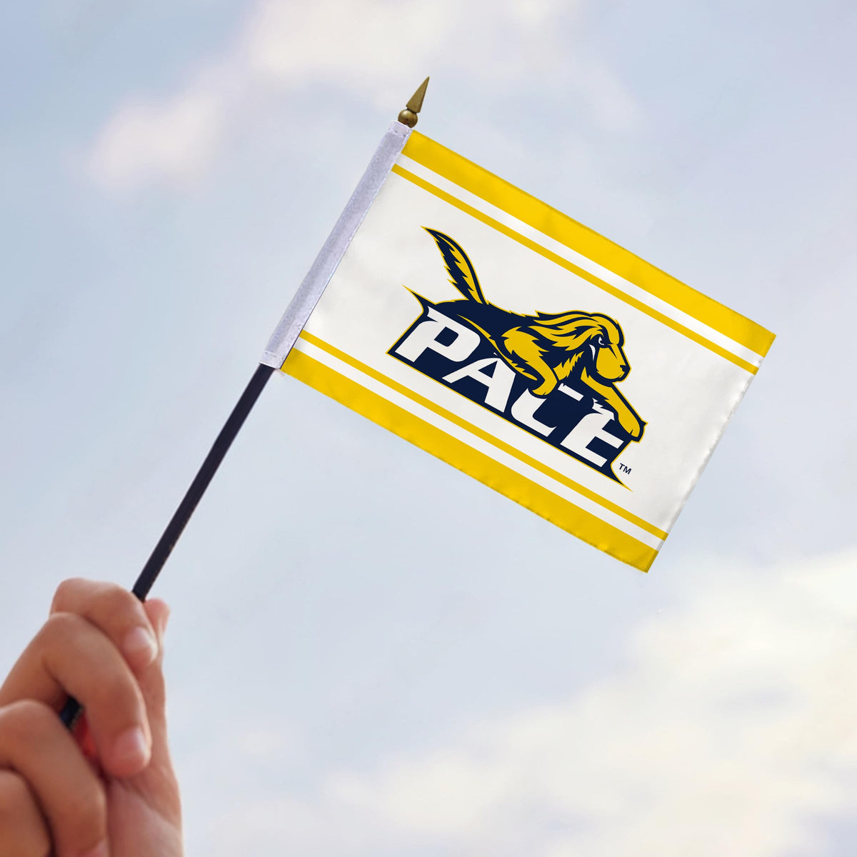 Pace University Stick Flag 4 x 6 inch