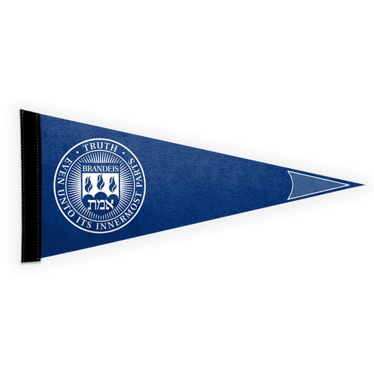 Brandeis University Pennant 9 x 24 inch