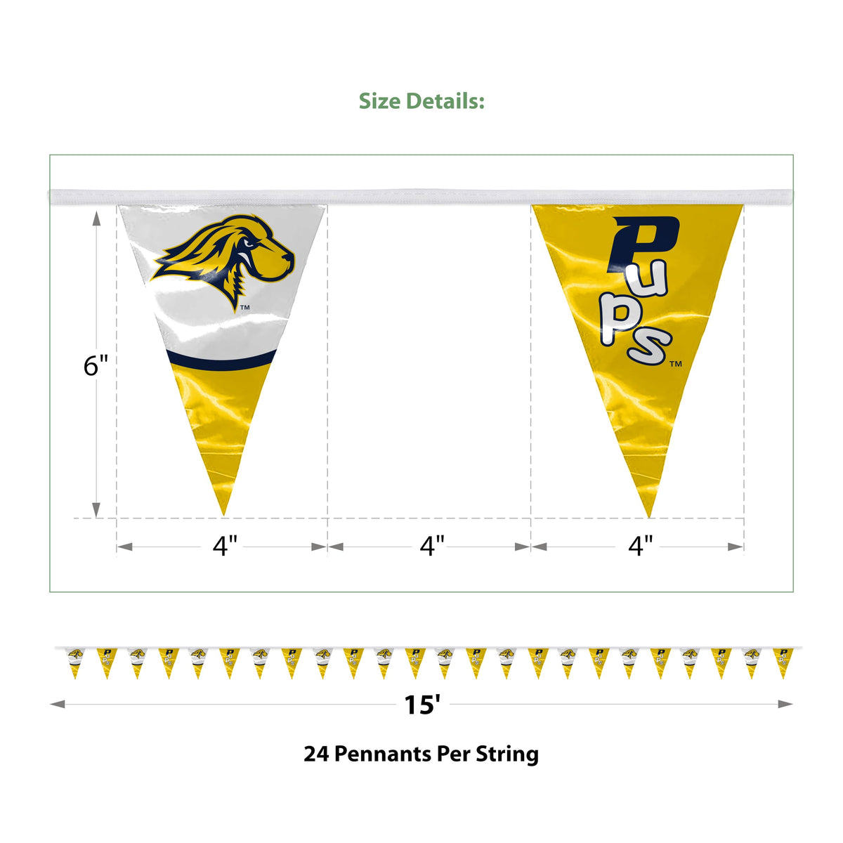Pace University Pennant String 4 x 6 inch