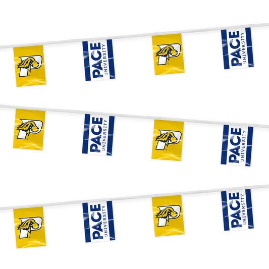 Pace University Pennant String 9 x 12 inch