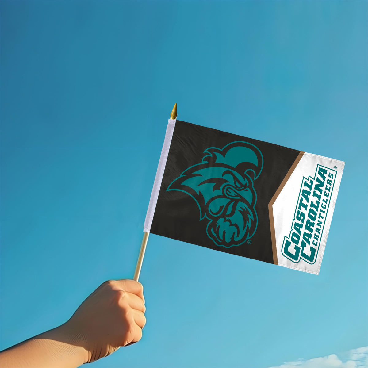 AGAS - Coastal Carolina University Flags