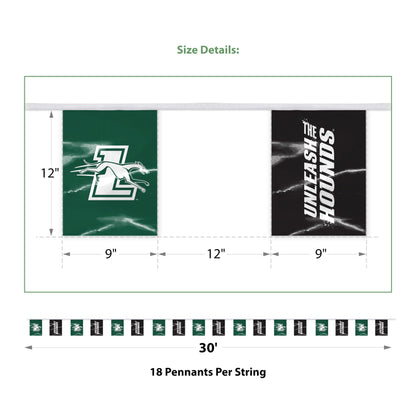 Loyola University Maryland Pennant String 9 x 12 inch