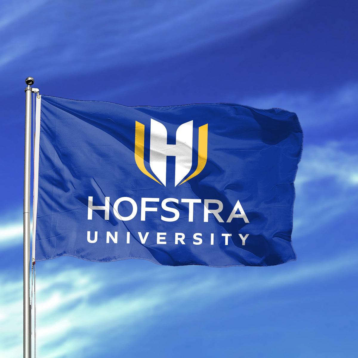 Hofstra University Flag 4 x 6 ft