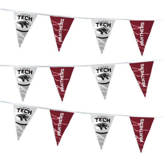 Florida Institute of Technology Pennant Banner String 4 x 6 inch