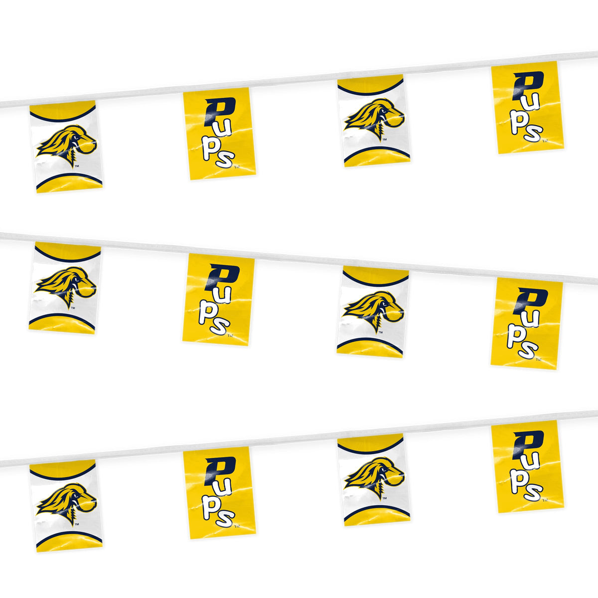 Pace University Pennant String 9 x 12 inch