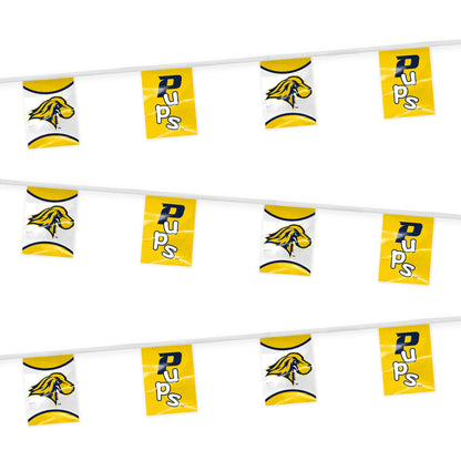 Pace University Pennant String 9 x 12 inch