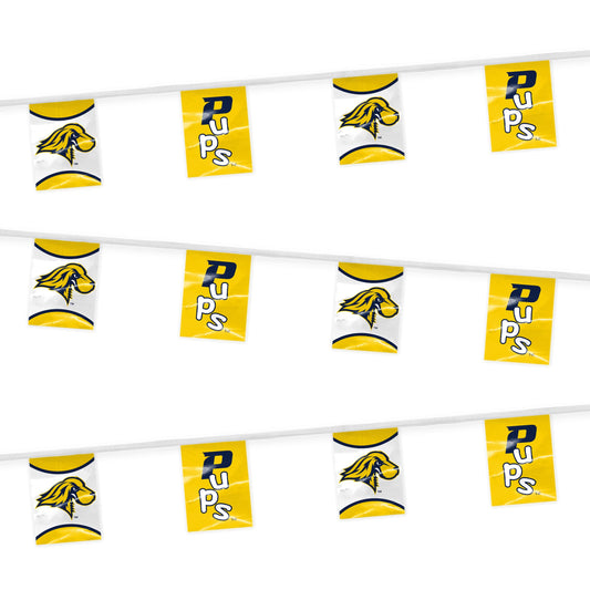 Pace University Pennant String 9 x 12 inch