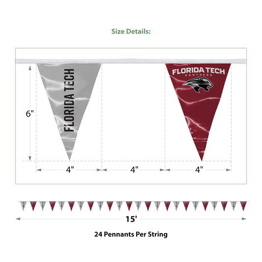 Florida Institute of Technology Pennant String 4 x 6 inch