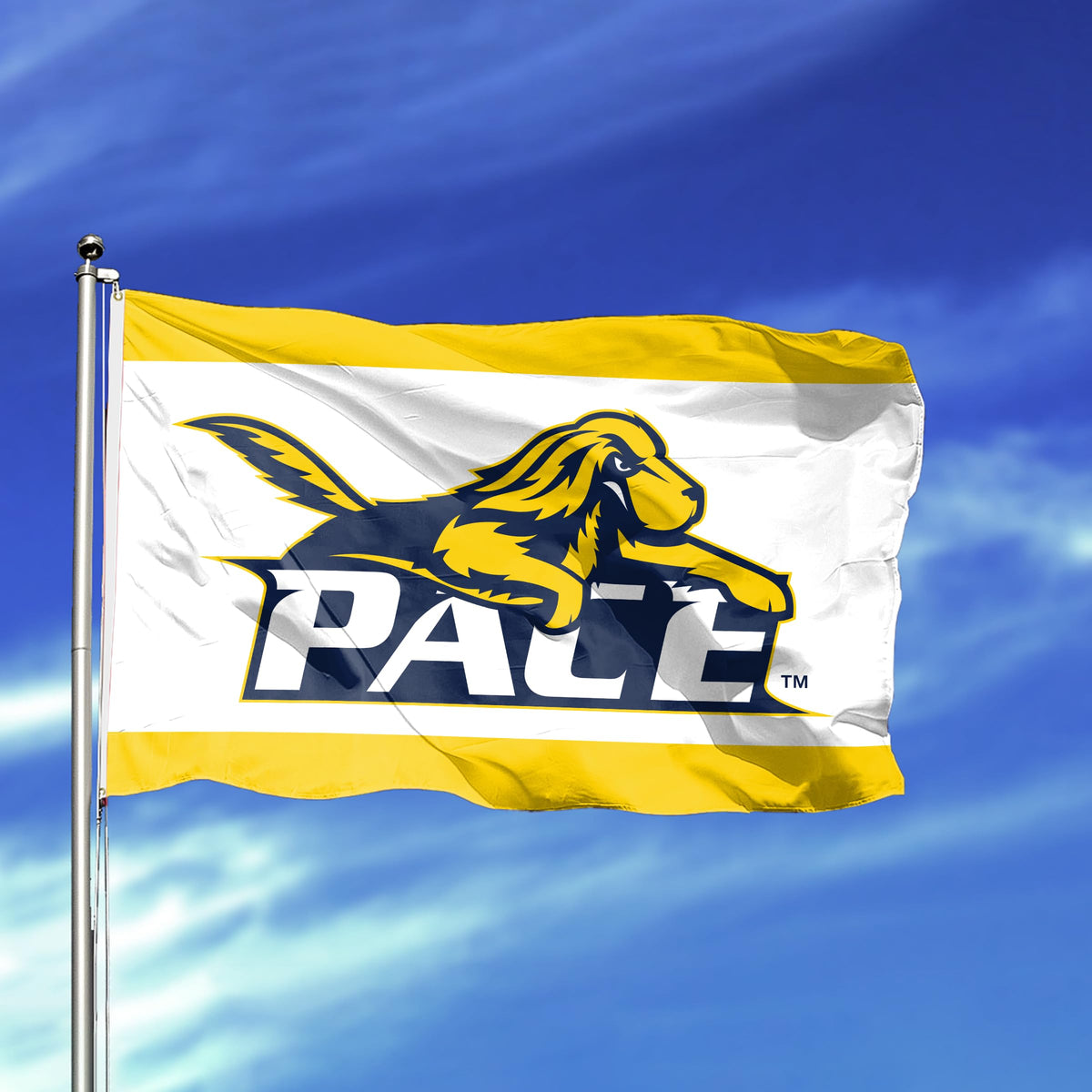 Pace University Flag 12 x 18 inch