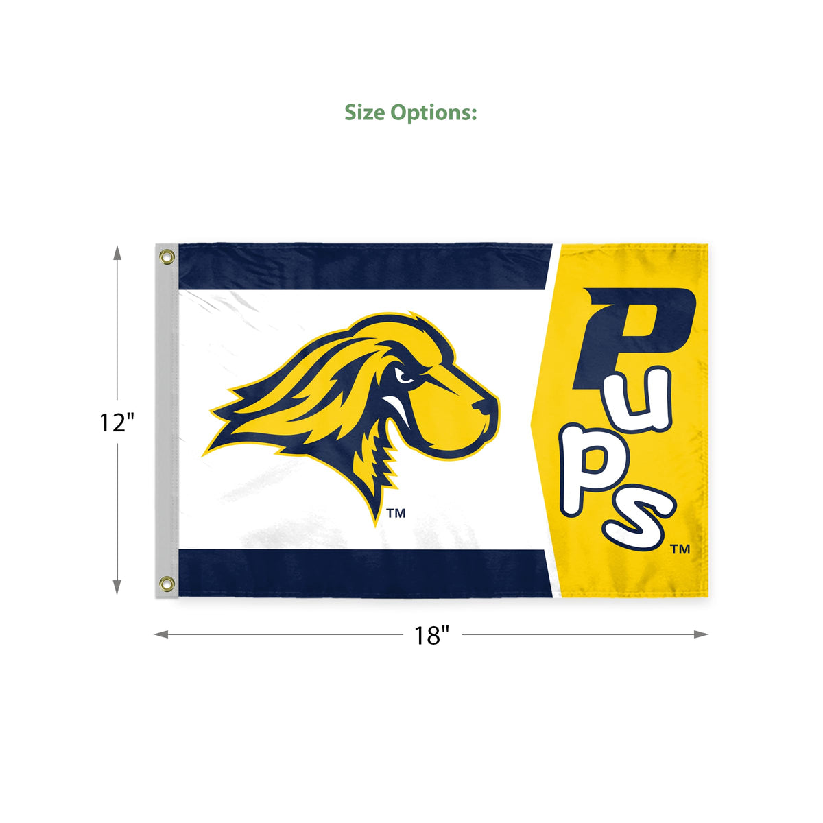 Pace University Flag 12 x 18 inch