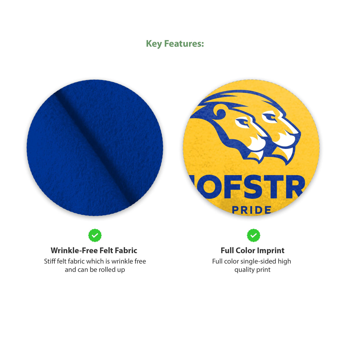Hofstra University Felt Pennant 9 x 24 inch