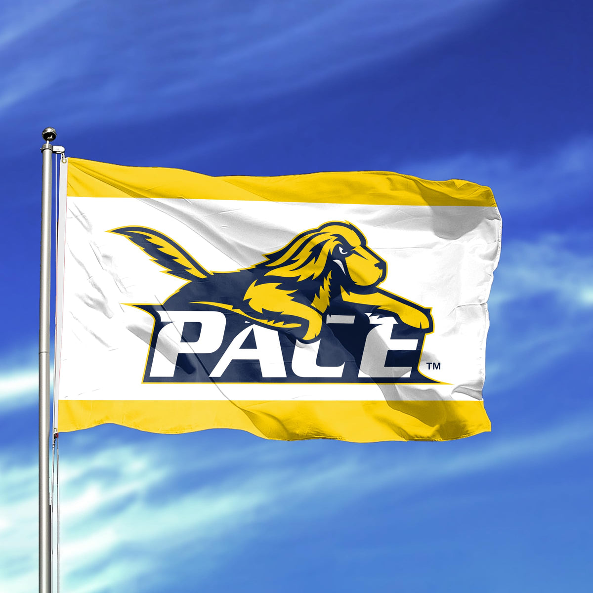 Pace University Flag 4 x 6 ft