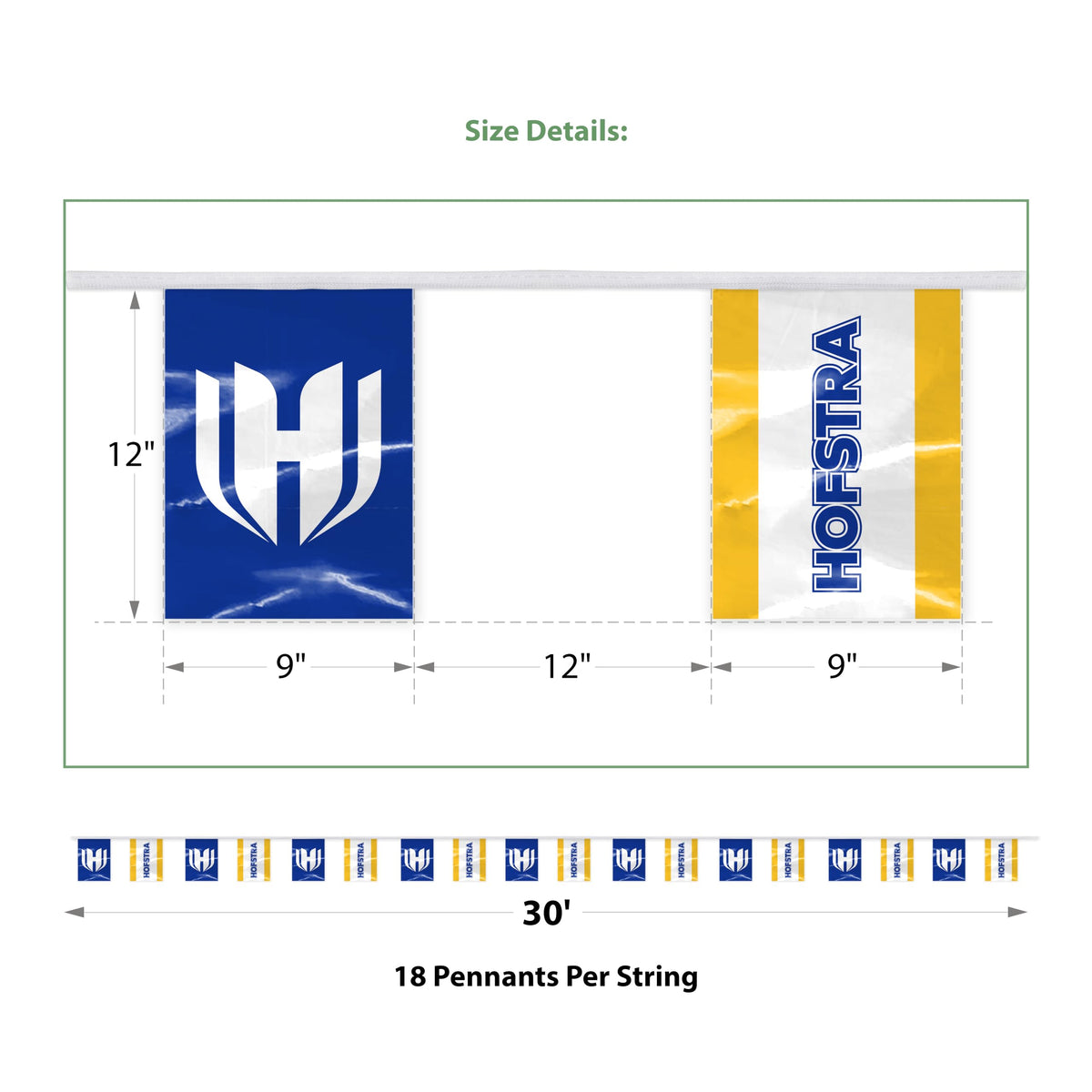 Hofstra University Rectangle Pennant String 9 x 12 inch