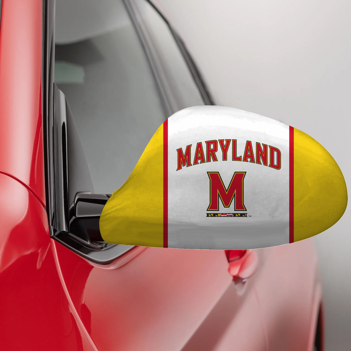 AGAS - Maryland University