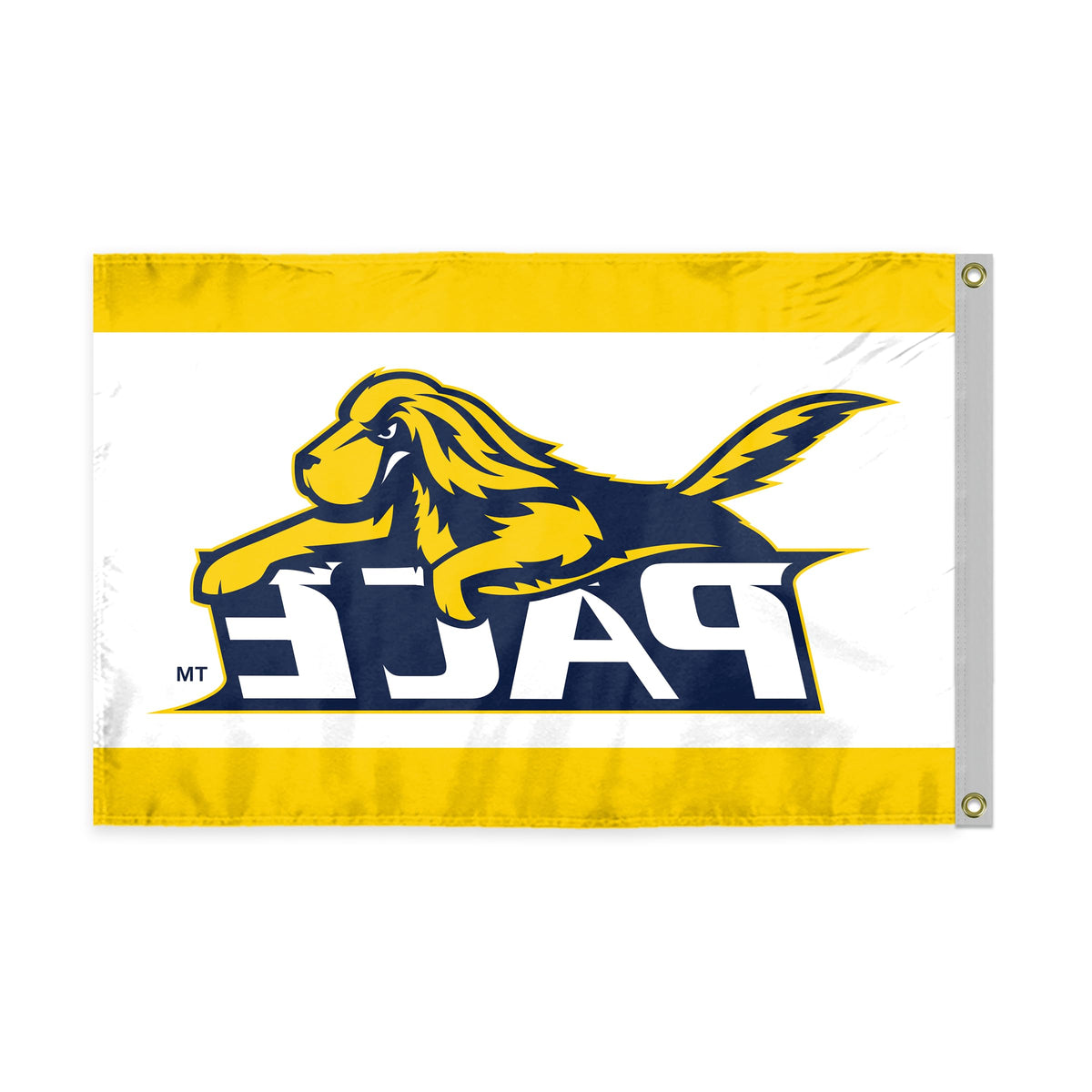 Pace University Flag 12 x 18 inch